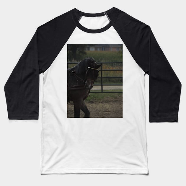 Horse show Baseball T-Shirt by theartsyeq